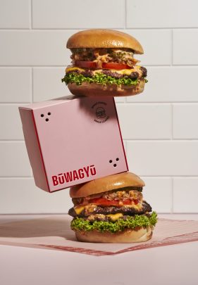 Sauce_Capital_Social1 30